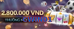 CWIN01