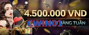 CWIN01