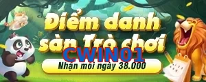CWIN01