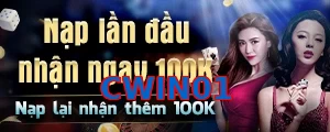 CWIN01