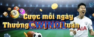 CWIN01